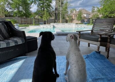 Houston Pools and Spas #1 Best Houston Pools & Spas